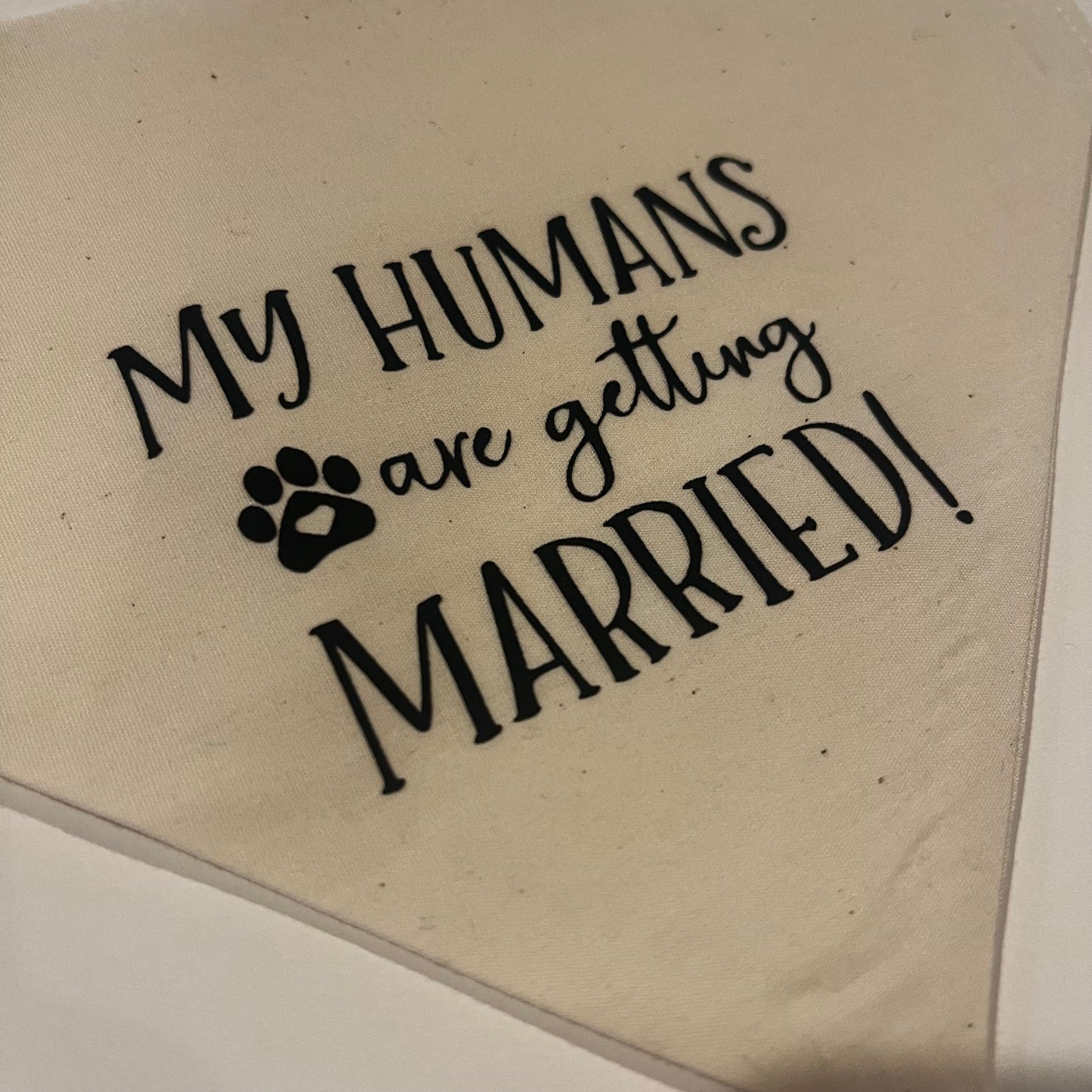 My Humans are getting Married! Ivory Bandana (L)